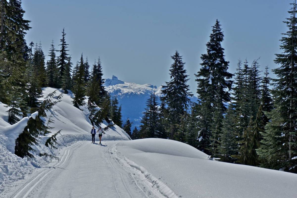 Nordic Skiing in Whistler