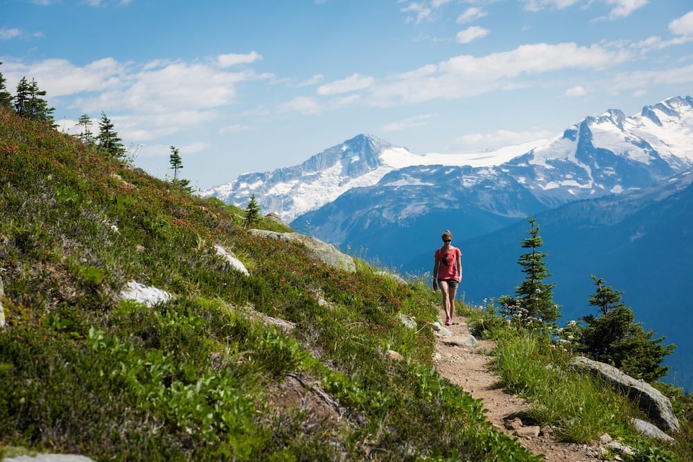 Whistler Guided Hiking Explore Stunning Trails With Expert Guides Whistler Guided Hiking Explore Stunning Trails With Expert Guides
