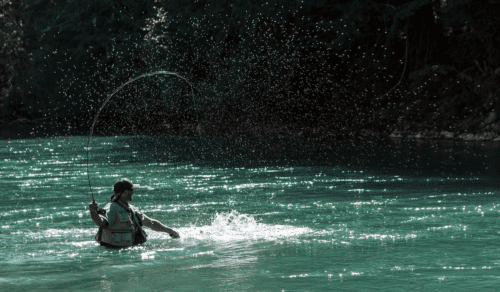 Whistler Fishing