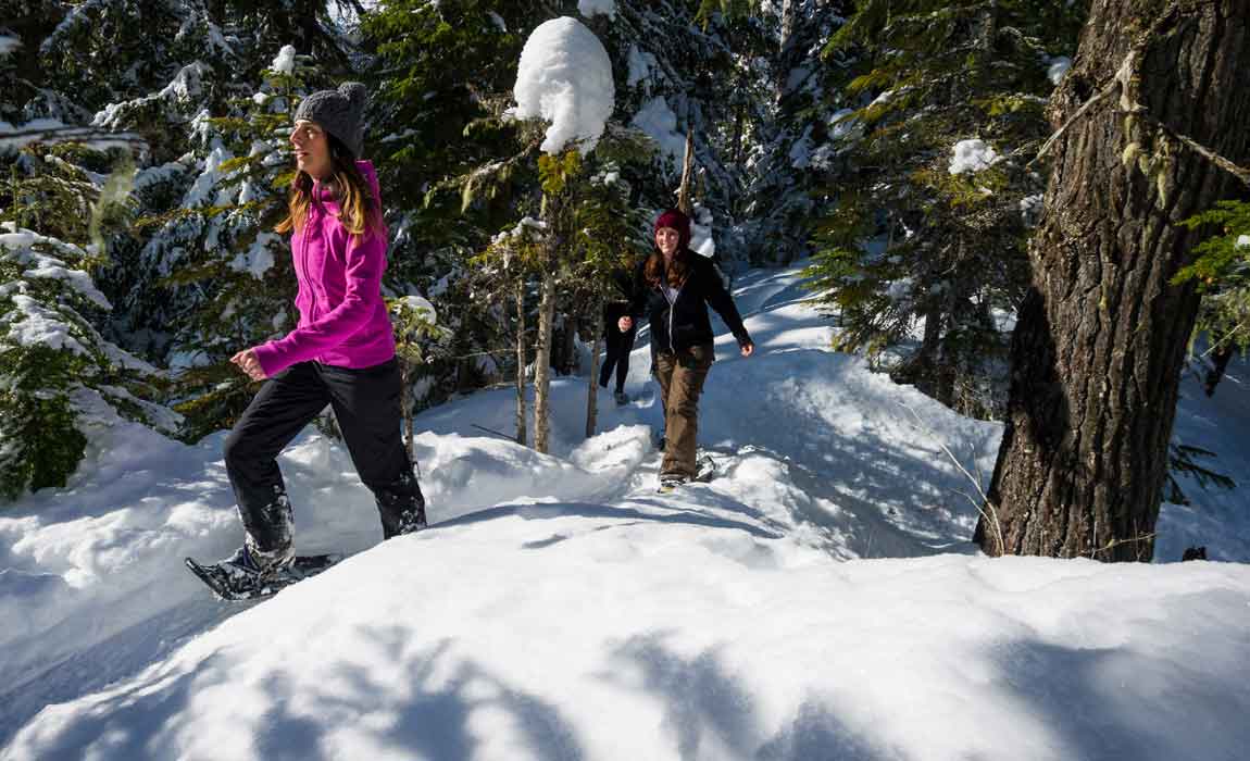 Whistler Snowshoeing Tours