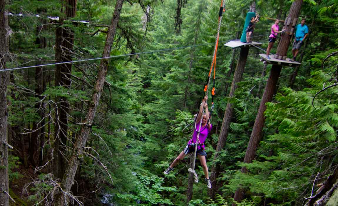 Whistler Treetop Adventure Tours