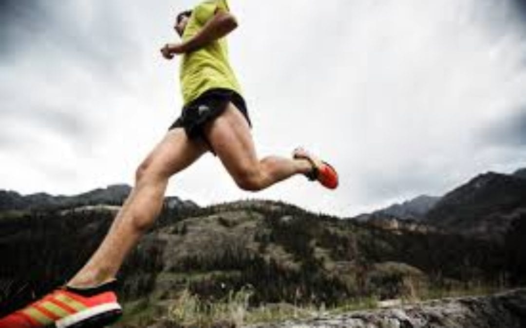 The North Face Whistler Half Marathon