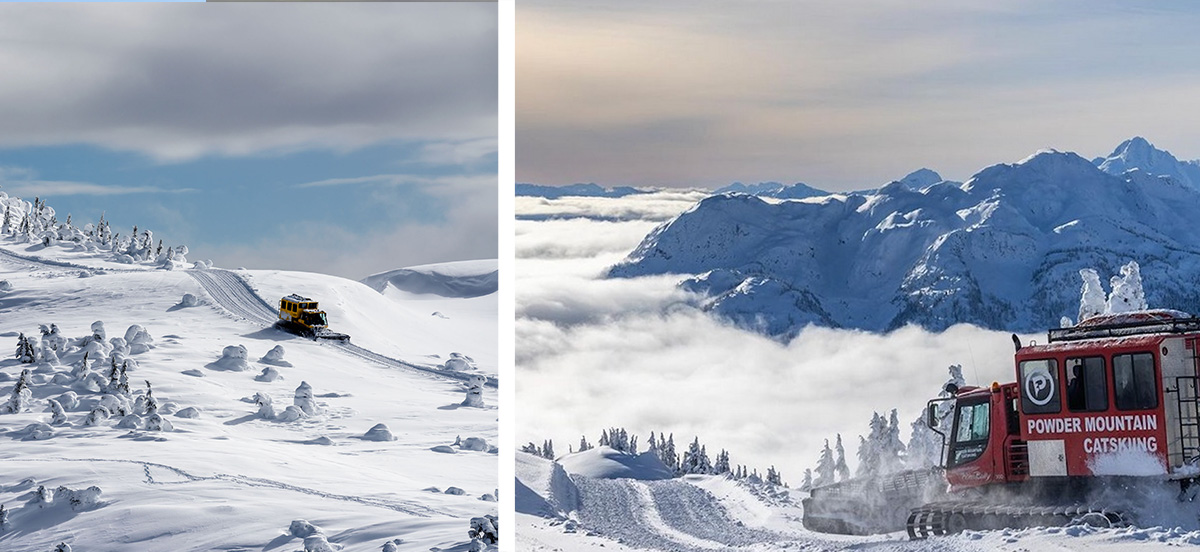 Cat Skiing Whistler